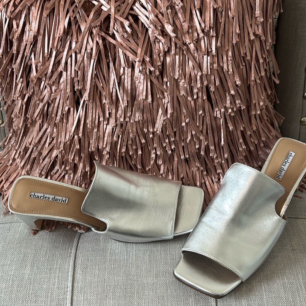 Charles David silver mule
2.5 in heel. Brand new.